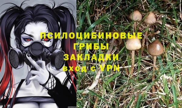 гашик Бородино