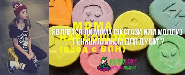 гашик Бородино